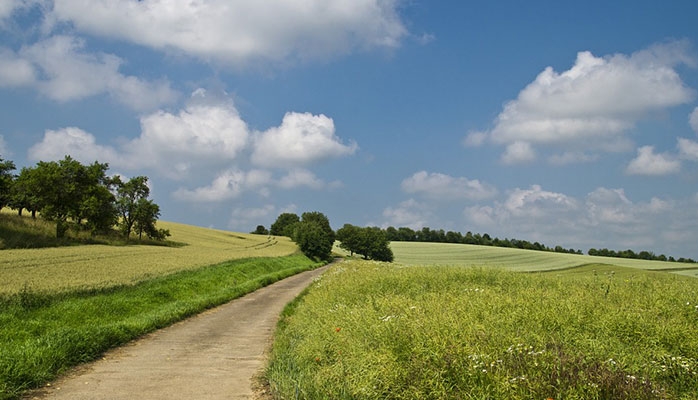 Proposition de loi visant à renforcer la protection des chemins ruraux 